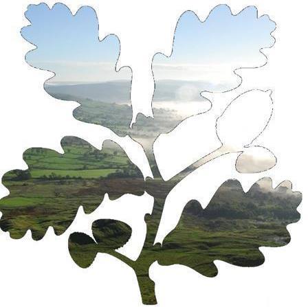 nt