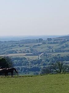 A view of fields