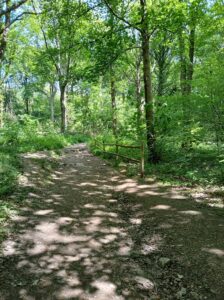 Woodland 