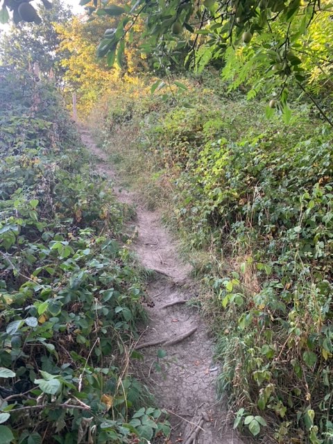 On the Higham Hurtle route