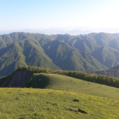 LISI-photo.jpg