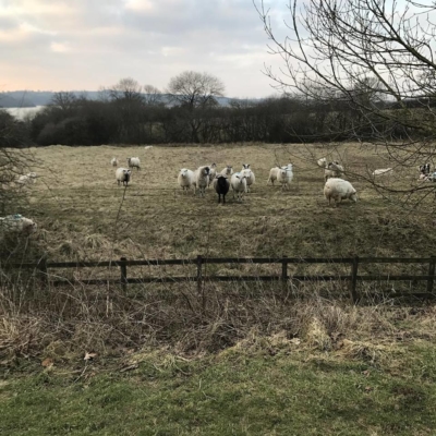 Other-Carsington-spectators....jpg