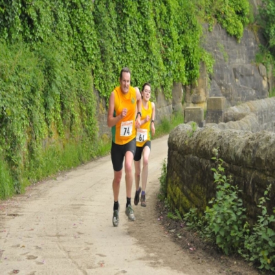 Striders-10k.jpg
