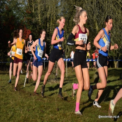 lightwater-1.jpg